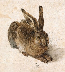 540px-Durer_Young_Hare