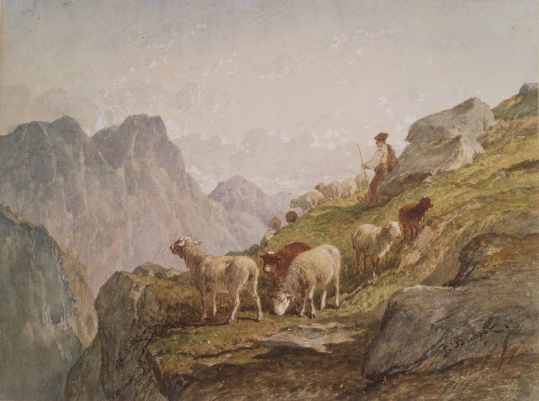 shepherd-rock